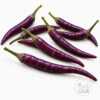 Cayenne Purple Pepper Seeds. Harvested Cayenne Purple peppers with green stems on a white background