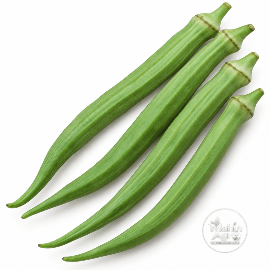 Four long green Perkins okra pods on a white background