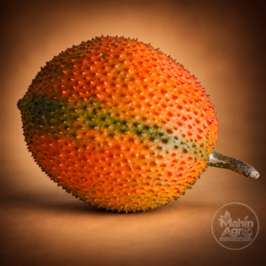 Orange ripe gac fruit with spiny skin and Mahin Agro watermark