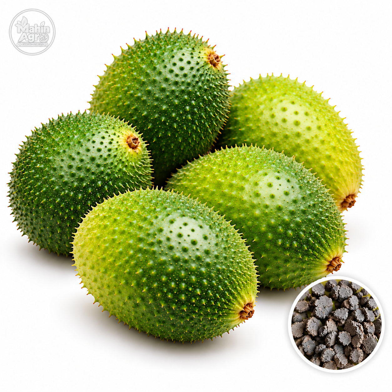 Green gac fruits with an inset showing dark sculptured seeds