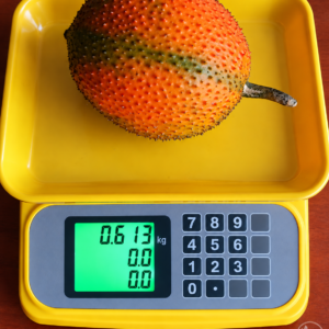 Orange gac fruit resting on a yellow digital scale